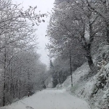 Quiete Di Montagna Sul Lago Di Iseo Apartamento